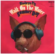 Blodwyn Pig - Walk On The Water