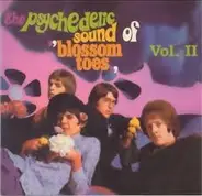 Blossom Toes - The Psychedelic Sound Of 'Blossom Toes' Vol. II: If Only For A Moment