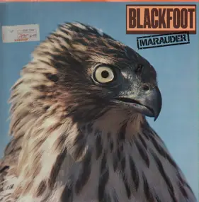 Blackfoot - Marauder