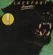 Blackfoot - Tomcattin'