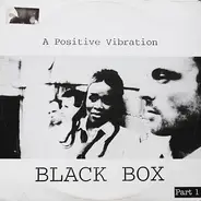 Black Box - A Positive Vibration Part I