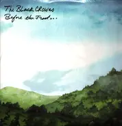 Black Crowes - Before The Frost
