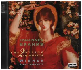 Johannes Brahms - The 2 String Quintets
