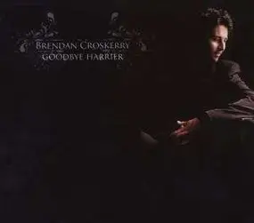 Brendan Croskerry - Goodbye Harrier