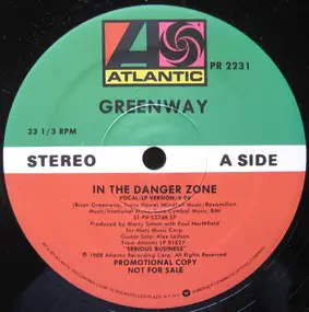 Brian Greenway - In The Danger Zone