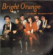 Bright Orange - ...No Doubt, The Goose Is Out