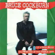 Bruce Cockburn - If A Tree Falls