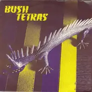 Bush Tetras - Too Many Creeps