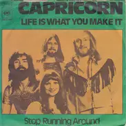 Capricorn - Life Is What You Make It