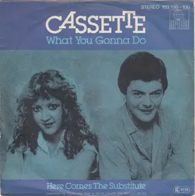 The Cassette - What You Gonna Do