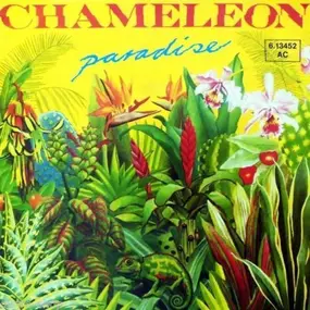 The Chameleon - Paradise