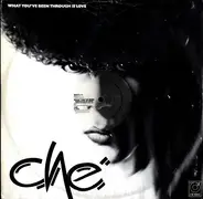 Che - What You've Been Through Is Love