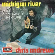 Chris Andrews - Michigan River