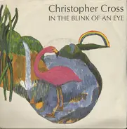Christopher Cross - In The Blink Of An Eye