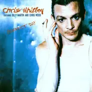 Chris Whitley Featuring Billy Martin And Chris Wood - Perfect Day