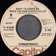 Conspiracy - What Ya Gonna Do When The Rain Starts Fallin'