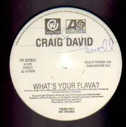 Craig David / Brandy - What's Your Flava?