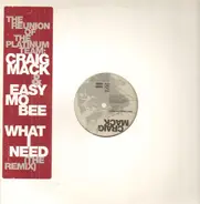 Craig Mack - What I Need (The Remix)