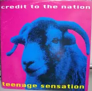 Credit To The Nation - Teenage sensation