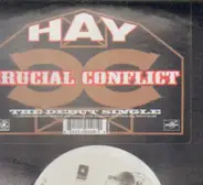 Crucial Conflict - Hay