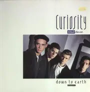 Curiosity Killed The Cat - Down To Earth