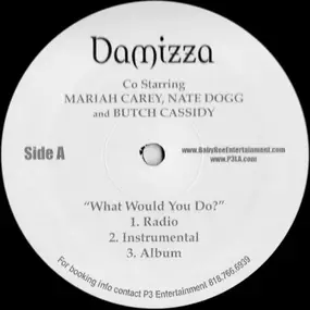 Damizza - What Would You Do? / Chip Tha Curb