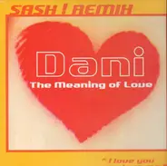 Dani - The Meaning Of Love 'I Love You You Love Me' (Sash! Remix)