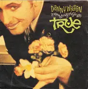 Danny Wilson - If Everything You Said Was True