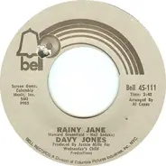 Davy Jones - Rainy Jane