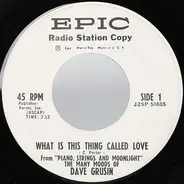 Dave Grusin - What Is This Thing Called Love