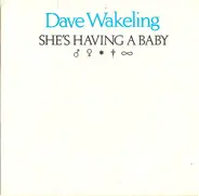 Dave Wakeling - She's Having A Baby