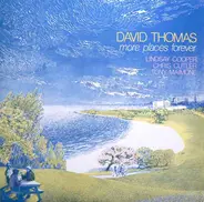 David Thomas & The Pedestrians, David Thomas And The Pedestrians - More Places Forever