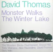David Thomas & The Wooden Birds - Monster Walks The Winter Lake