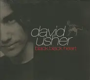 David Usher - Black Black Heart