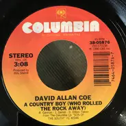 David Allan Coe - A Country Boy (Who Rolled The Rock Away)