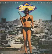 David Bromberg Band - Bandit In A Bathing Suit
