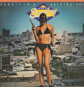 The David Bromberg Band - Bandit In A Bathing Suit