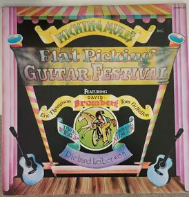 David Bromberg - Flat Picking Guitar Festival