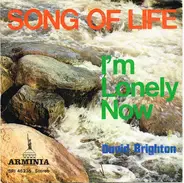 David Brighton - Song Of Life