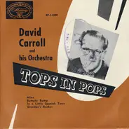 David Carroll & His Orchestra - Tops In Pops