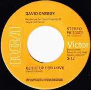 David Cassidy - Get It Up For Love