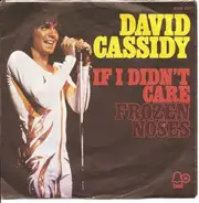 David Cassidy - If I Didn't Care