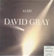 David Gray - Alibi