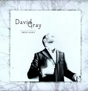 David Gray - Foundling