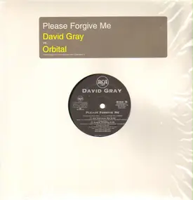 David Gray - Please Forgive Me