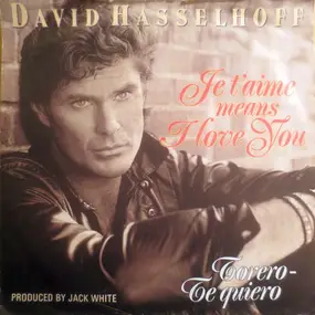 David Hasselhoff - Je T'Aime Means I Love You