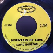 David Houston - Mountain Of Love / Angeline