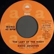 David Houston - The Lady Of The Night