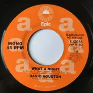 David Houston - What a Night
