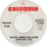 David James Holster - Constant Love
